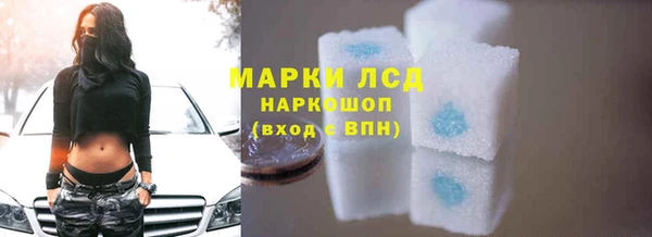 дмт Богданович