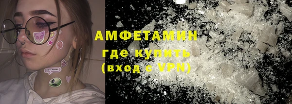 дмт Богданович