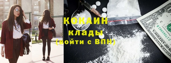 дмт Богданович