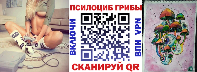 Купить где  Еманжелинск  Псилоцибиновые грибы мицелий 